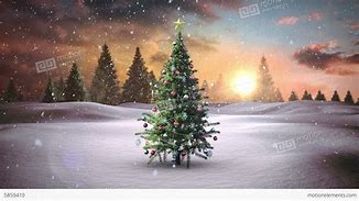 Christmas tree with Snow