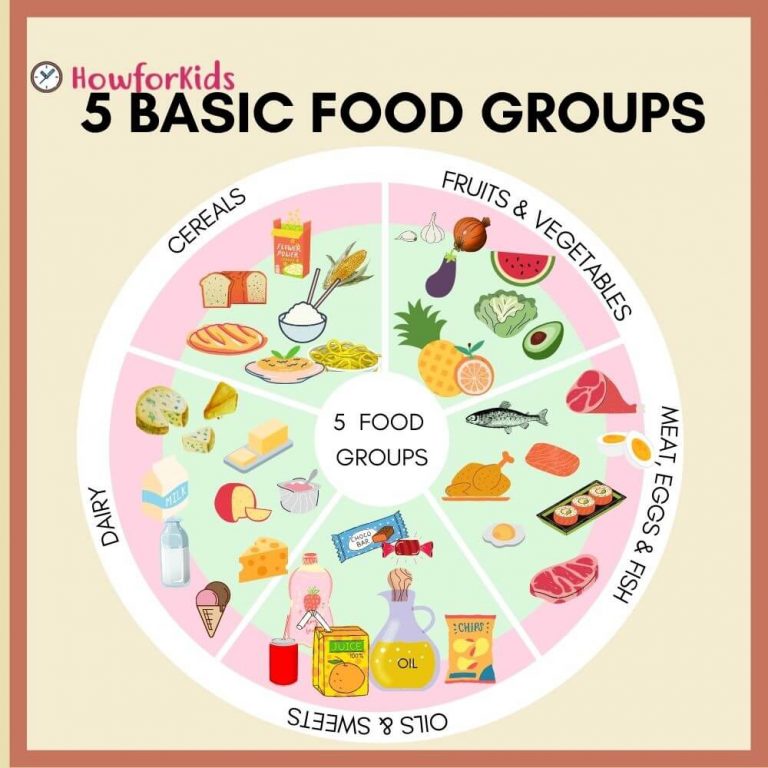 5 Food Groups